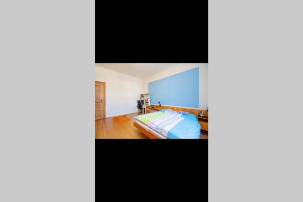 Zamecky Apartman V Horni Plane Horní Planá Exterior foto
